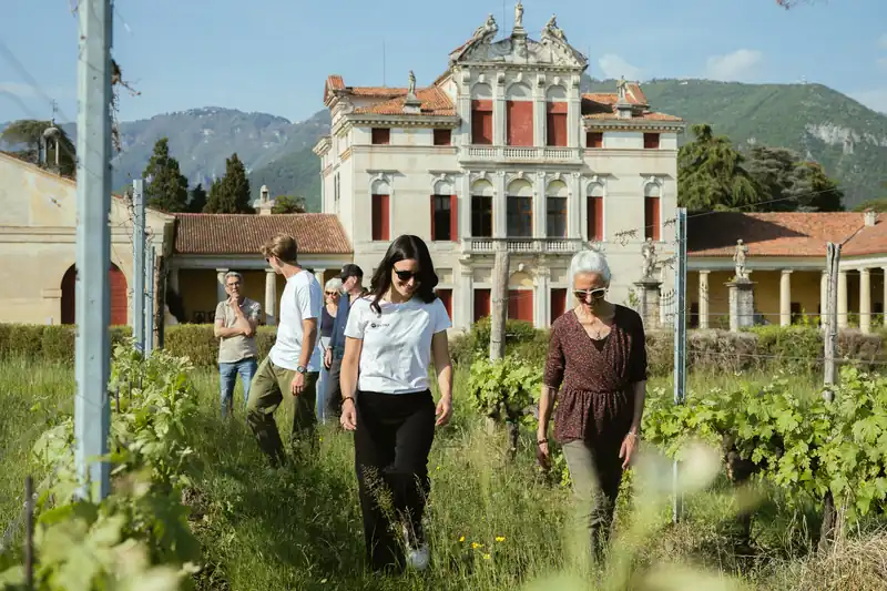 Guests walking through a vineyard below a Palladian villa, with the mountains behind