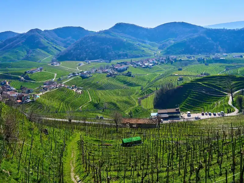 Terraced vineyards and a village in a green valley in the Prosecco Hills
